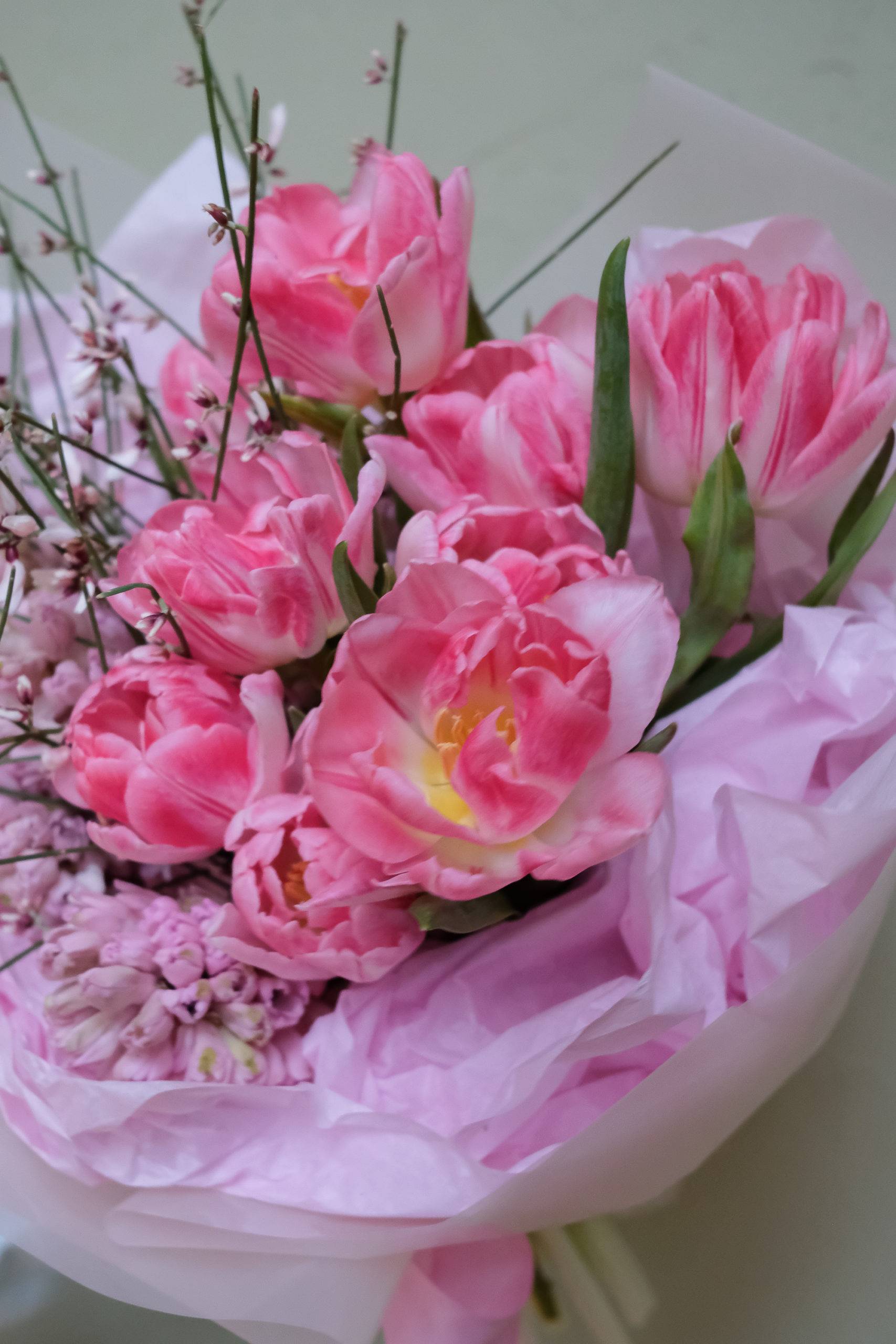 DSCF0696
