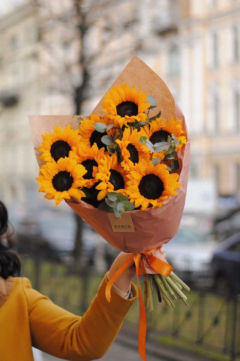 banch-jarkih-podsolnuhov_result.jpg