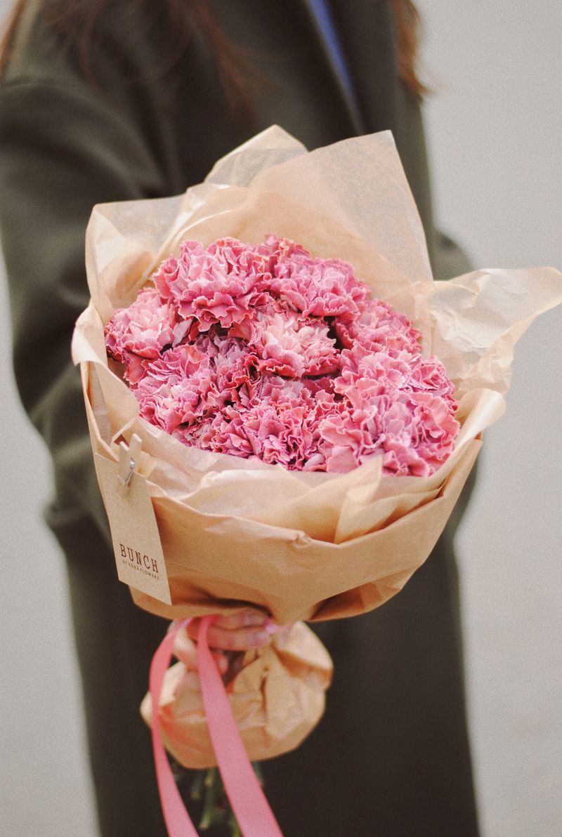 Банч космической гвоздики 2