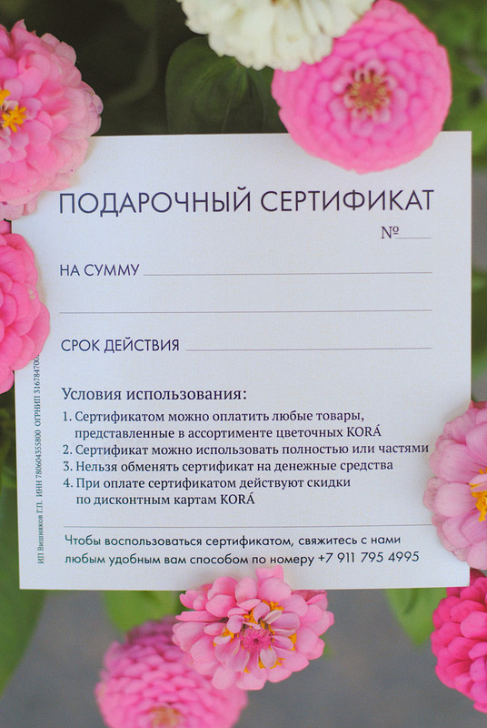 img-0042.jpg